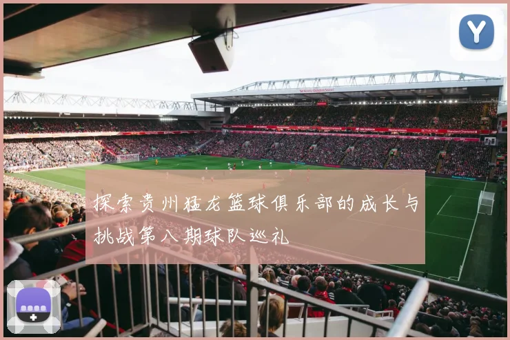 探索贵州猛龙篮球俱乐部的成长与挑战第八期球队巡礼