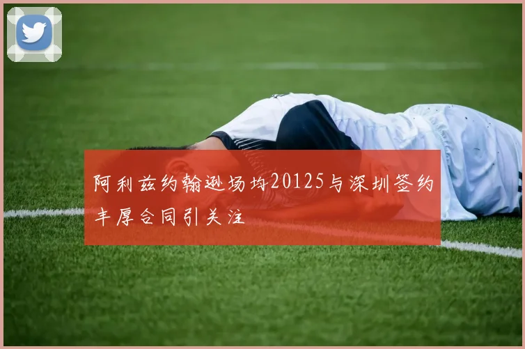 阿利兹约翰逊场均20125与深圳签约丰厚合同引关注