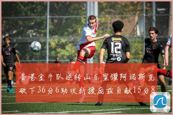 香港金牛队逆转山东蜜獾阿诺斯克砍下36分6助攻新援庞兹贡献15分8篮板9助攻