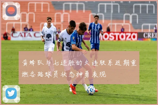 黄蜂队与七连胜的久违联系近期重燃各路球员状态神勇表现
